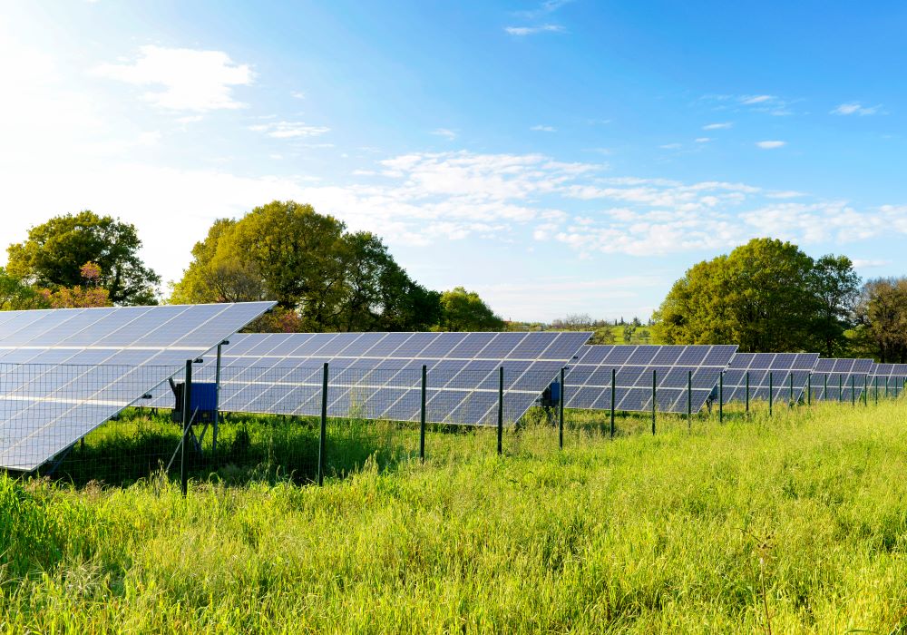 image-solaire-sol Solution solaire de miniparc et clôture avec Resolience